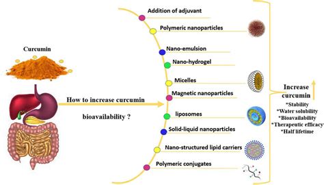 lv curcumin|Effects of high.